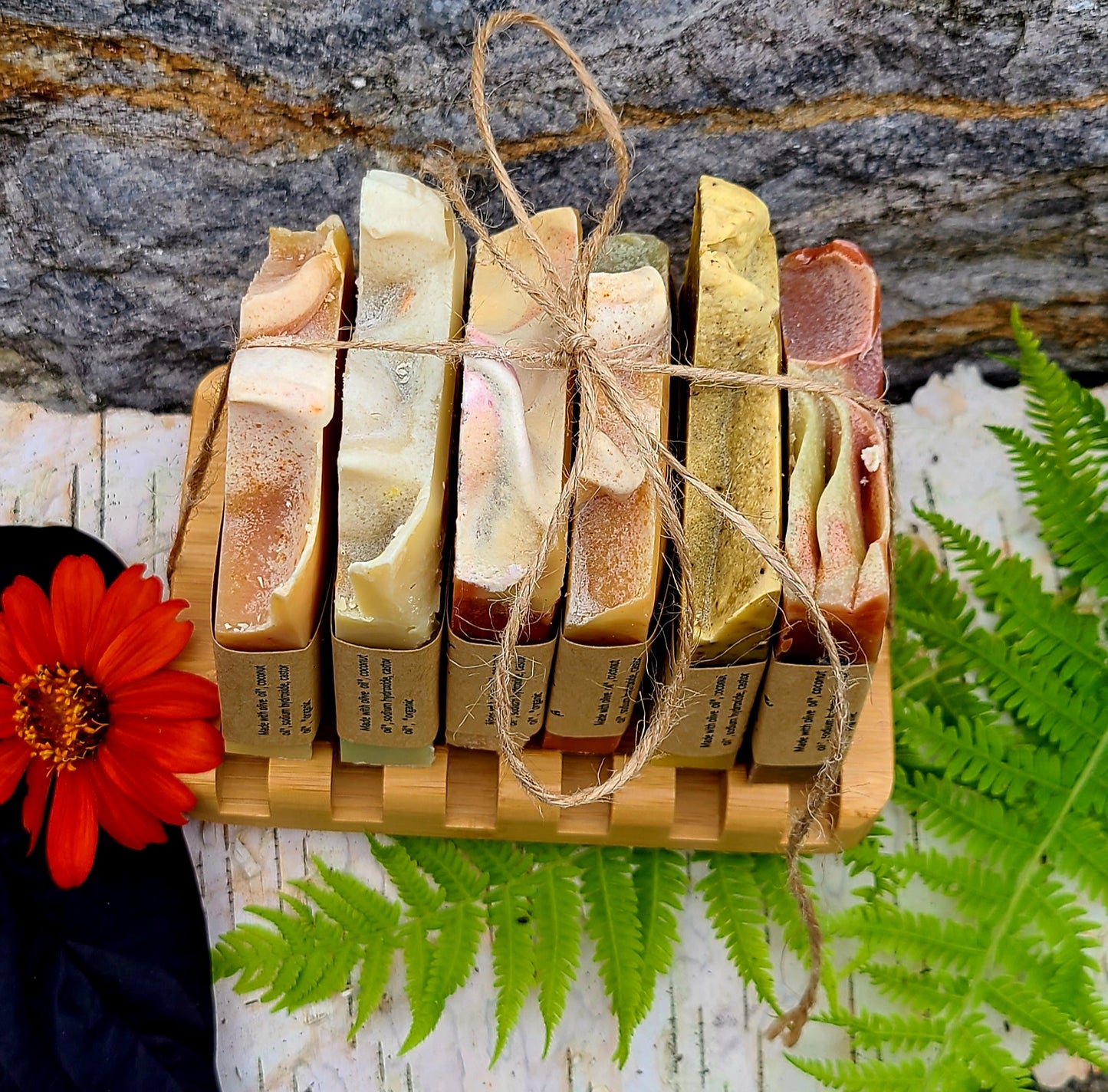 Fall Sample Bundle