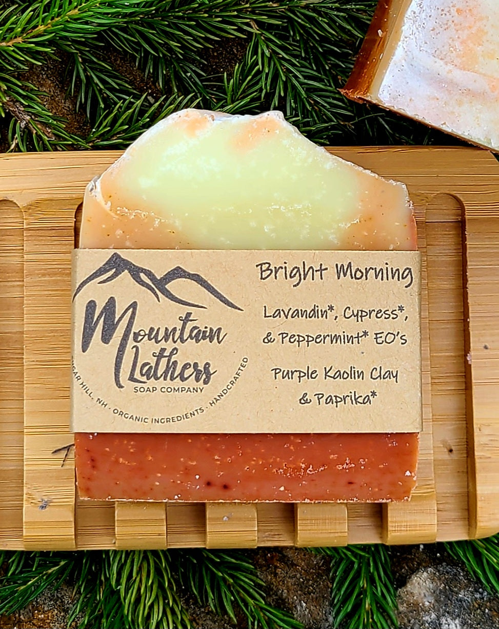Holiday Gift Set - 5 Mini Bar Sample Set with Dish