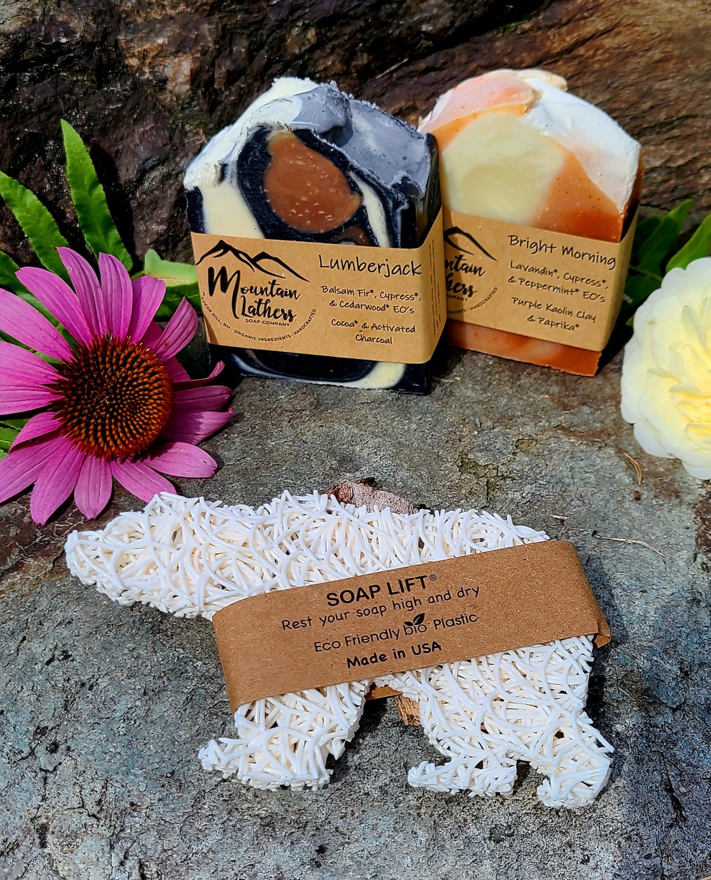 Bear Soap Lift