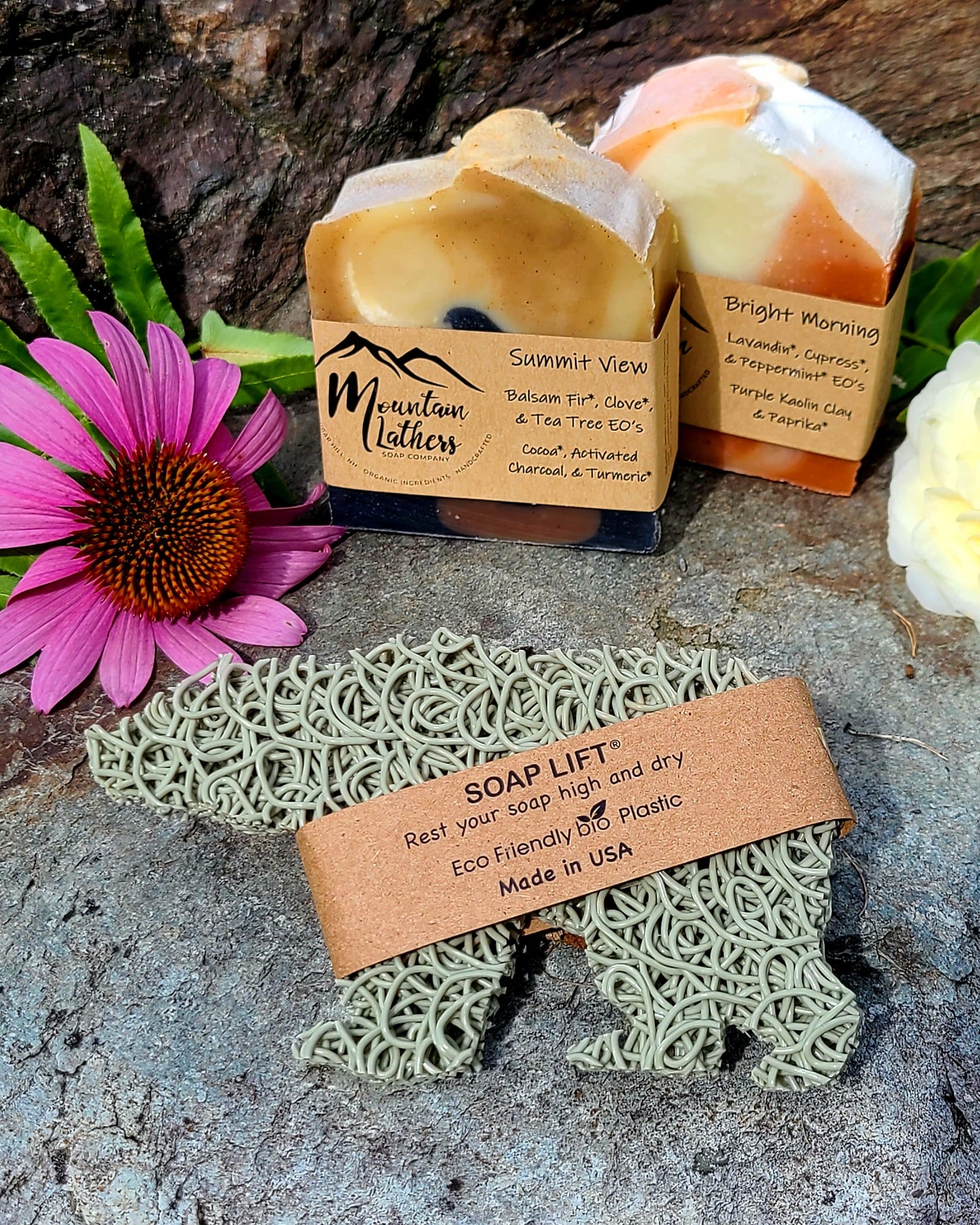 Bear Soap Lift