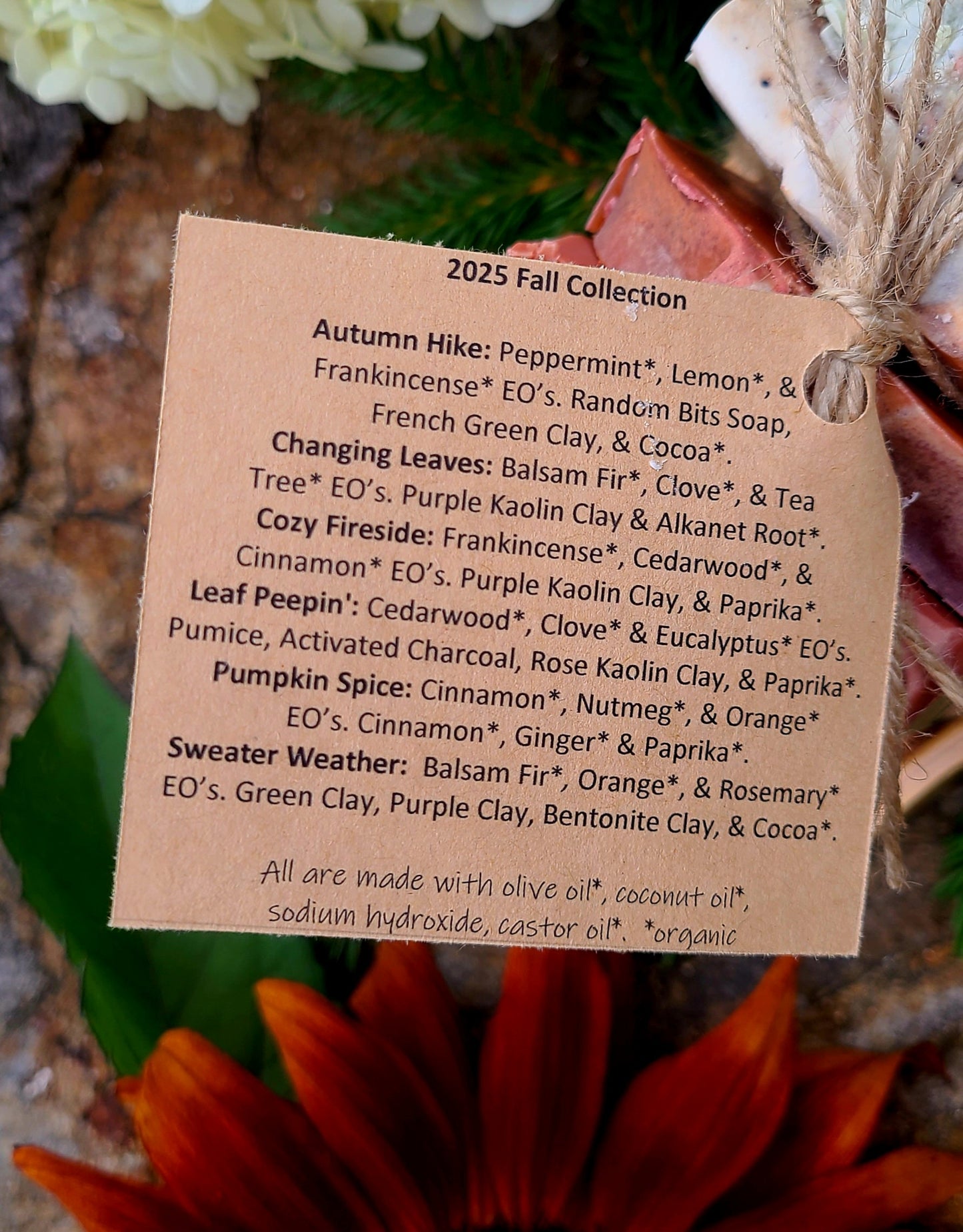 Fall Sample Bundle