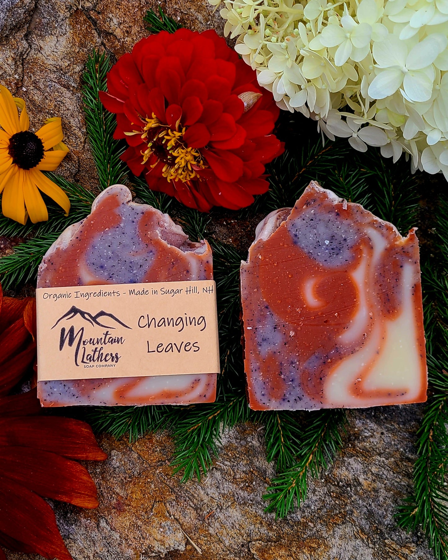 Changing Leaves - Fall Collection