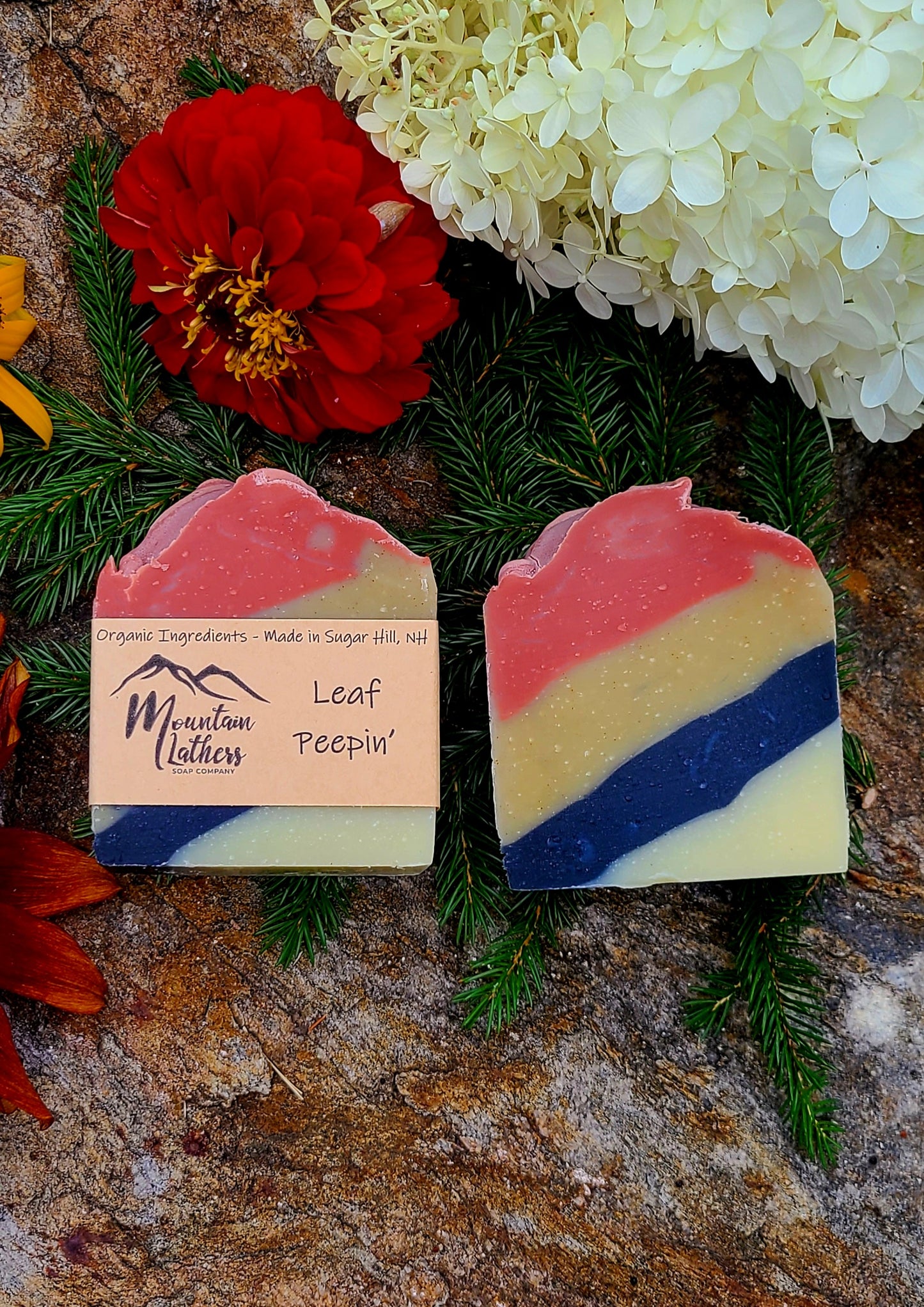 Leaf Peepin' - Fall Collection