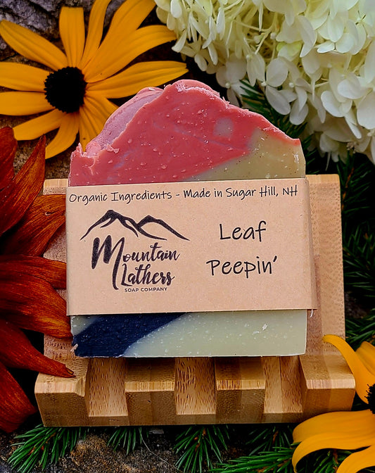 Leaf Peepin' - Fall Collection