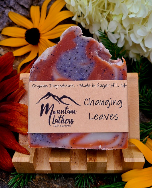 Changing Leaves - Fall Collection