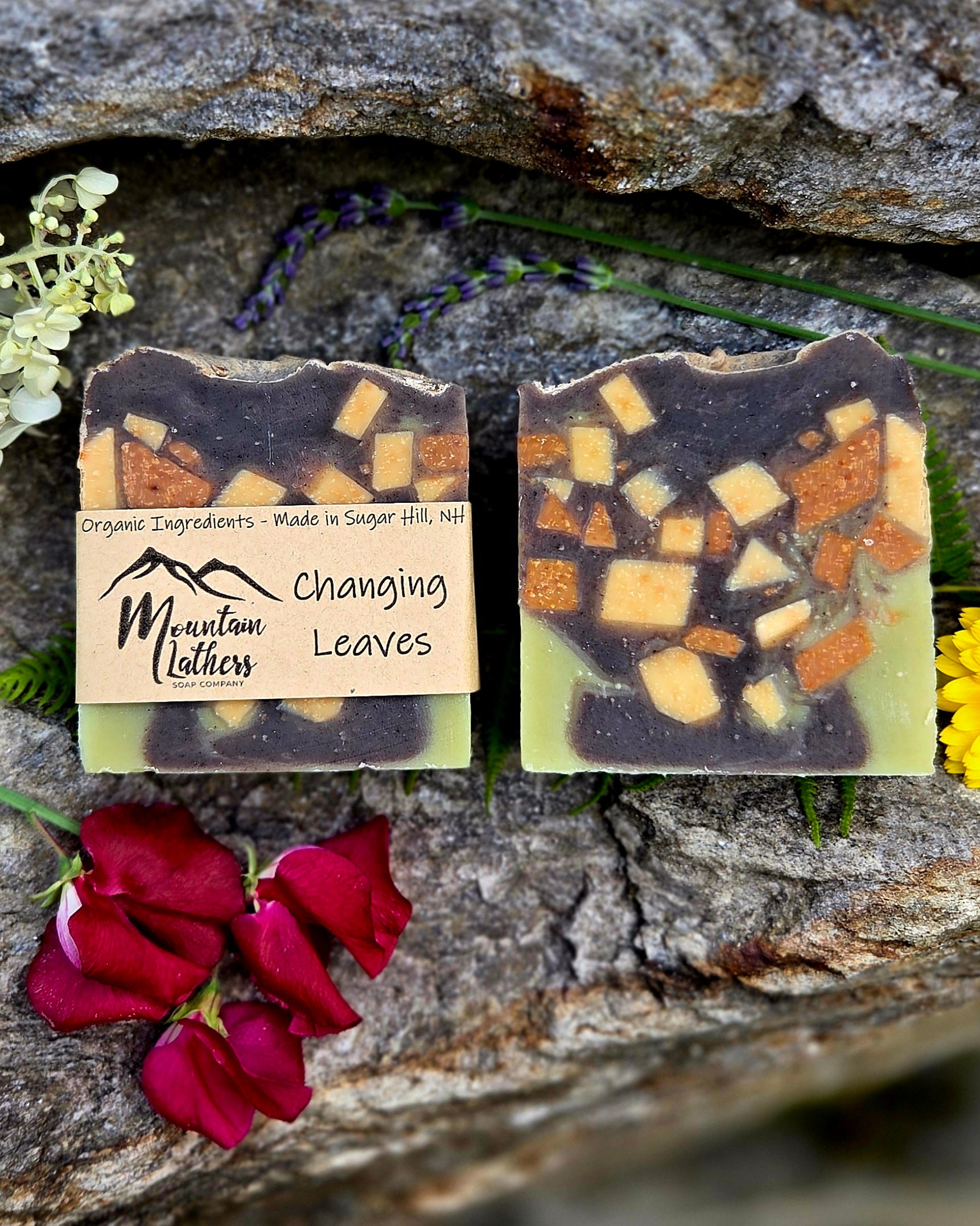Two handmade soap bars labeled 'Changing Leaves' by Mountain Melters, displayed on a textured rock with red rose petals, green leaves, and small yellow flowers. The soaps have a dark brown top layer with embedded orange and beige chunks, and a light green bottom layer.