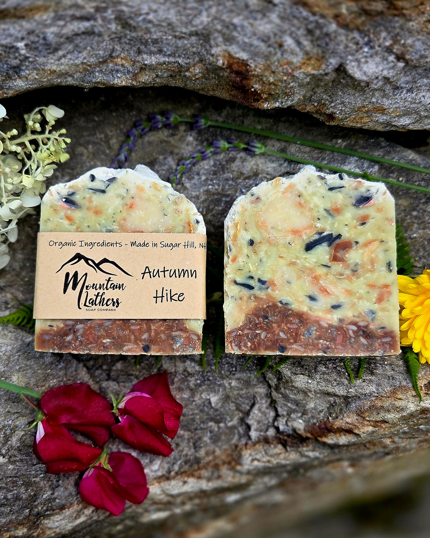 Two artisanal soap bars labeled 'Mountain Lathers Autumn Hike' displayed on a textured gray rock with red rose petals and yellow flowers.